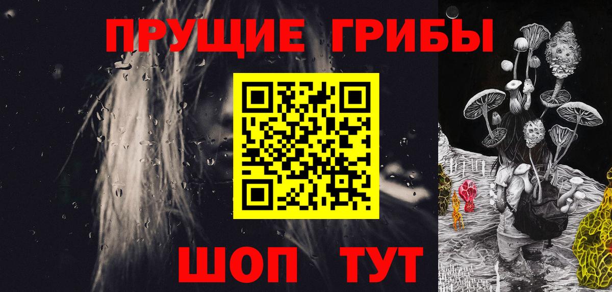 Псилоцибиновые грибы Cubensis Кириши